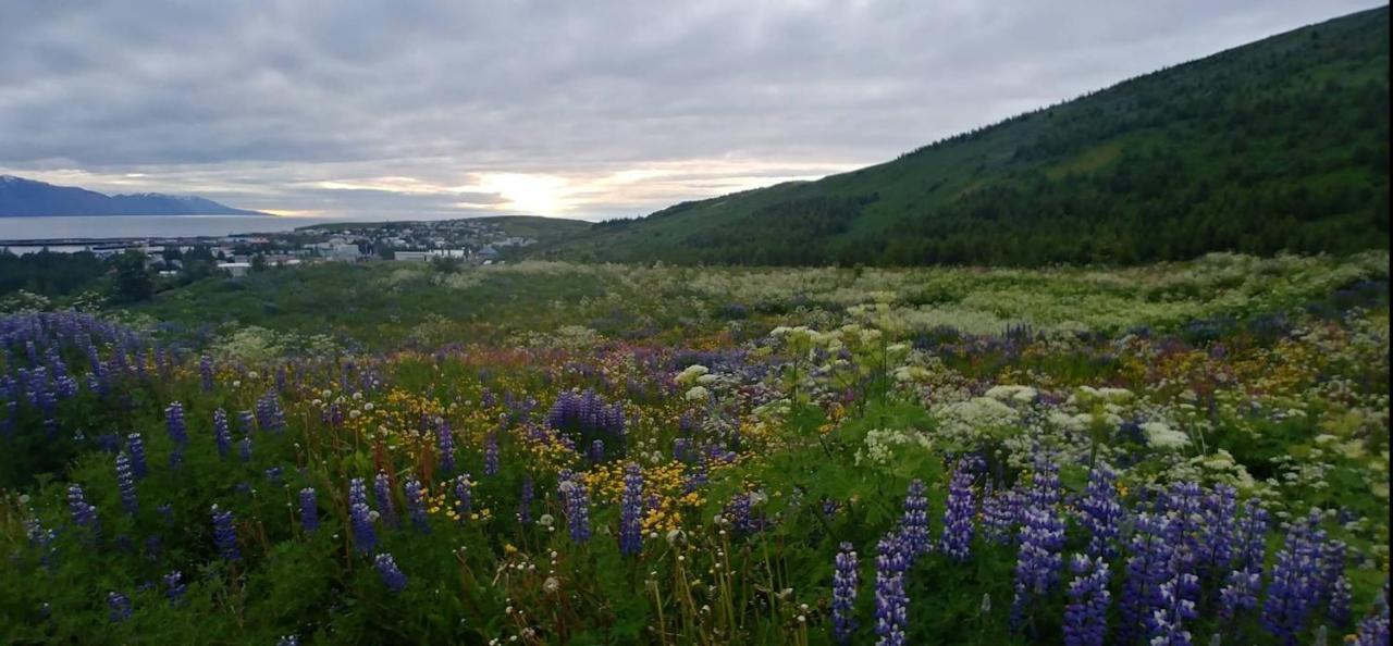 B&B Rooms Husavik 3 外观 照片