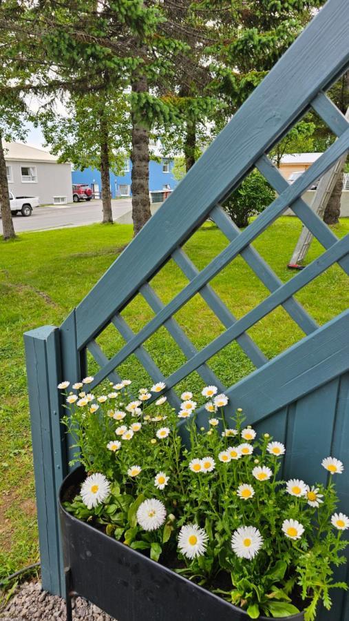 B&B Rooms Husavik 3 外观 照片